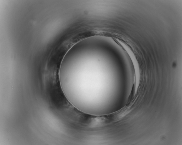 X0000091970525200709131341