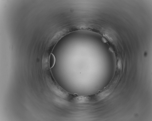 X0000091970526200709131341
