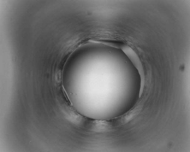 X0000091970528200709131341