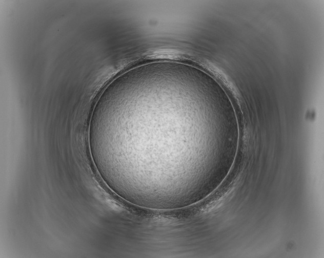 X0000091970529200709131340