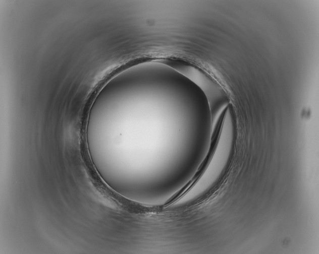 X0000091970530200709131340
