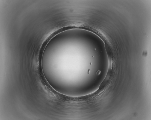 X0000091970532200709131340