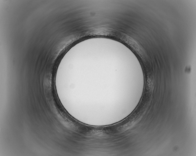 X0000091970534200709131340
