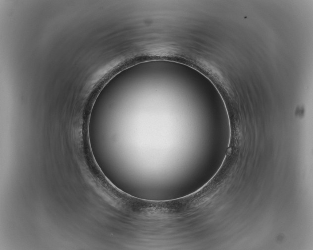 X0000091970535200709131340