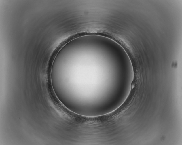 X0000091970536200709131340
