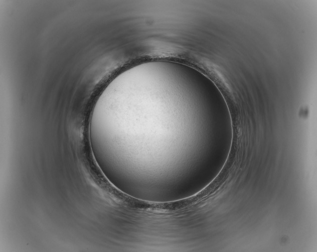 X0000091970539200709131340