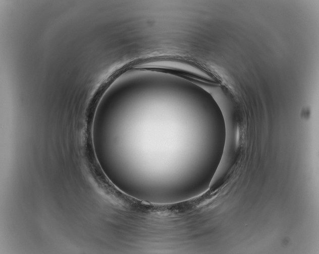 X0000091970540200709131340
