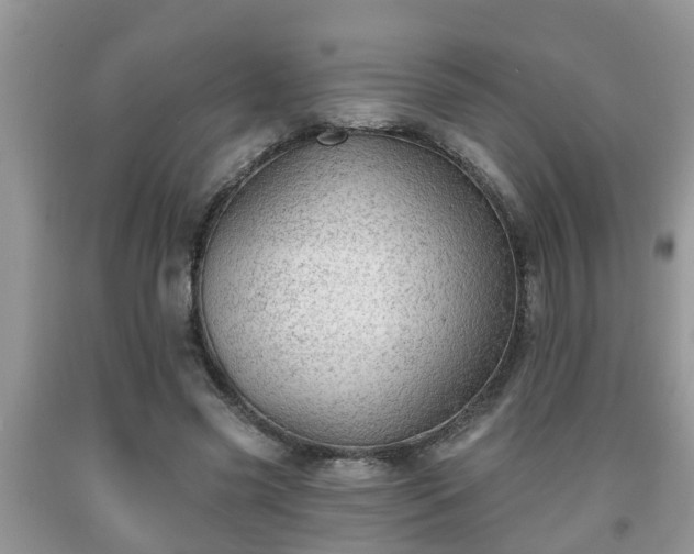 X0000091970541200709131340