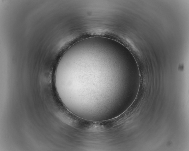 X0000091970543200709131340