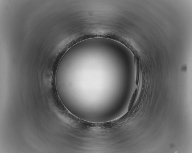 X0000091970544200709131340