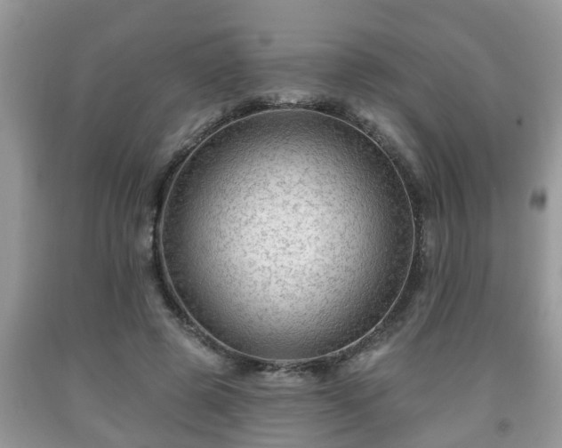 X0000091970545200709131340
