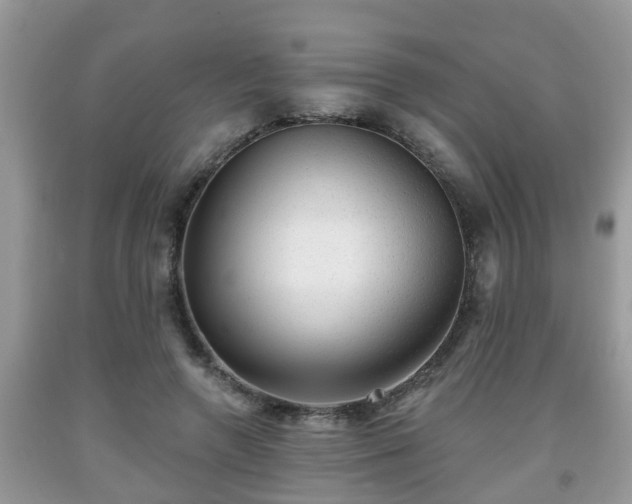 X0000091970546200709131340