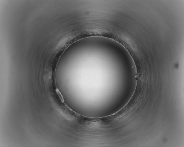 X0000091970548200709131340
