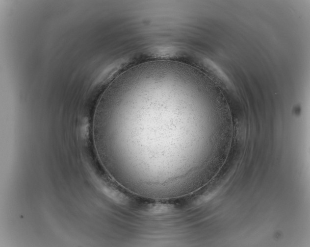 X0000091970549200709131340