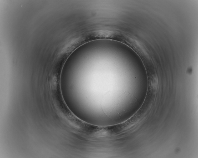 X0000091970551200709131340