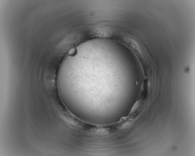 X0000091970553200709131340