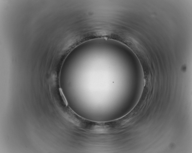 X0000091970556200709131340