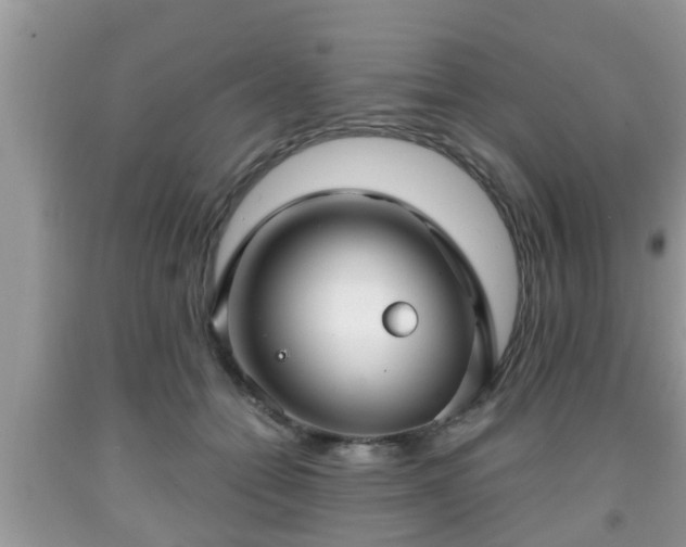 X0000091970558200709131341