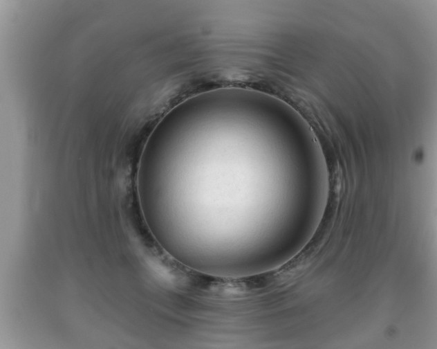 X0000091970559200709131341