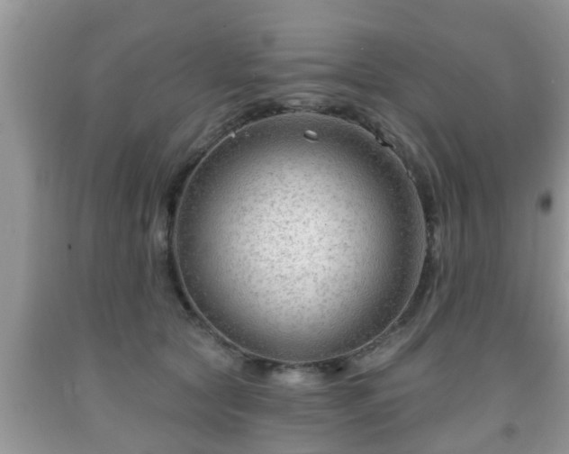 X0000091970561200709131341