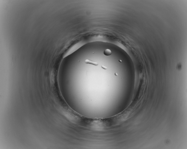 X0000091970562200709131341