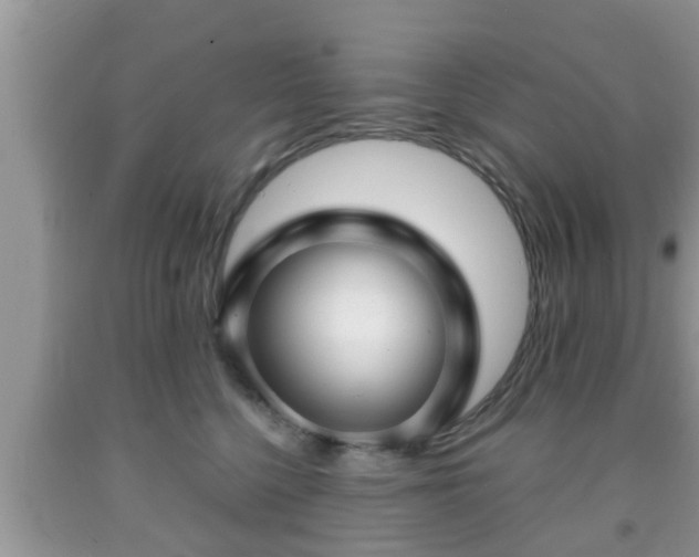 X0000091970568200709131341
