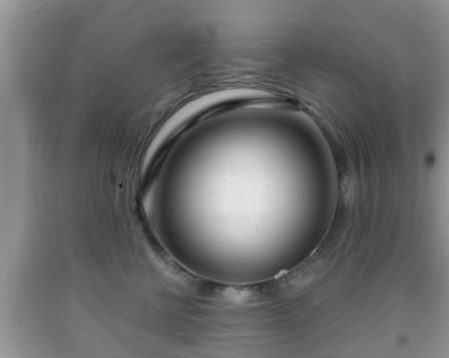 X0000091970570200709131341
