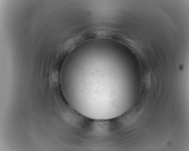 X0000091970571200709131341