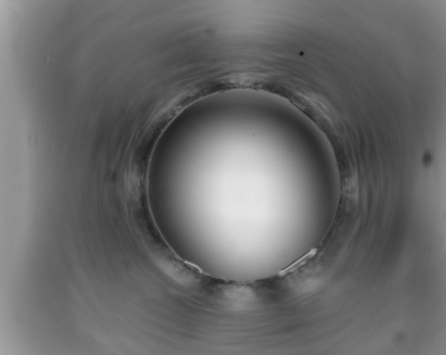 X0000091970572200709131341