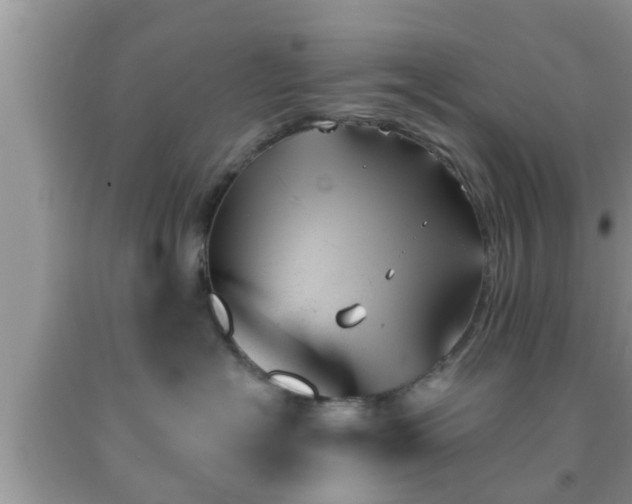 X0000091970574200709131341