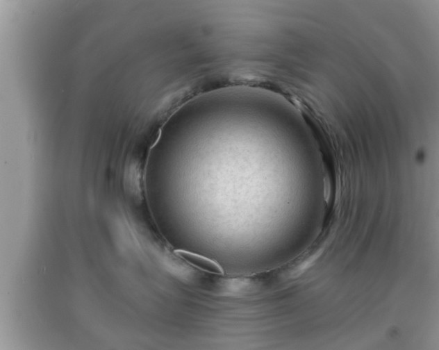X0000091970575200709131341