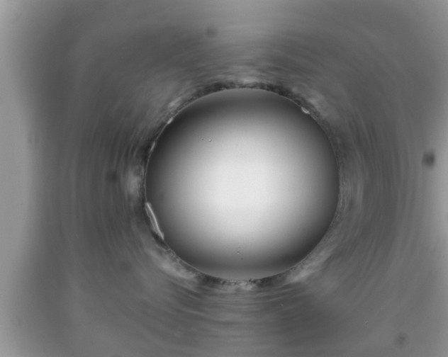 X0000091970576200709131341