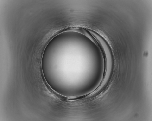 X0000091970577200709131340