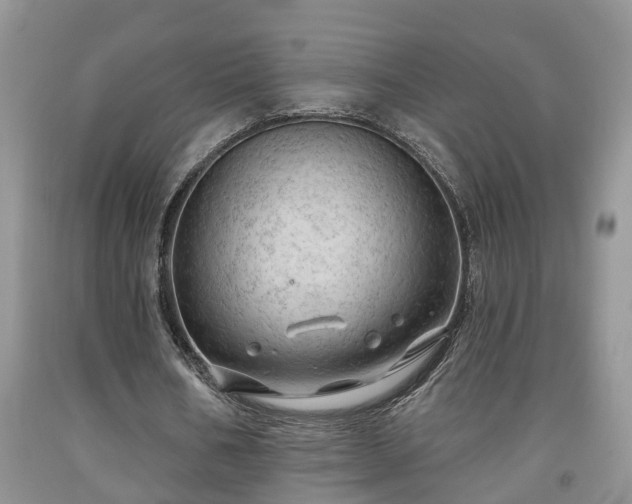 X0000091970578200709131340