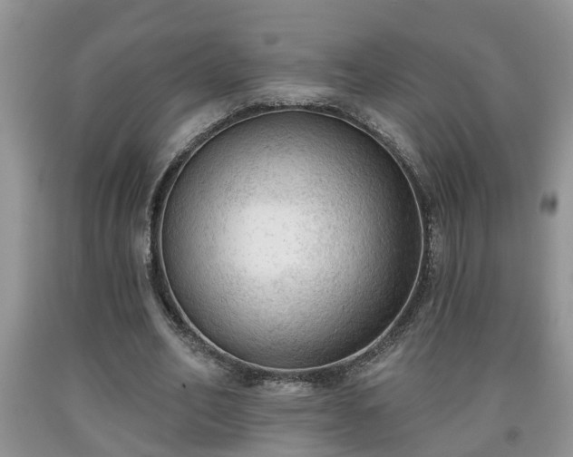 X0000091970582200709131340