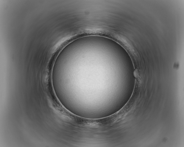 X0000091970583200709131340