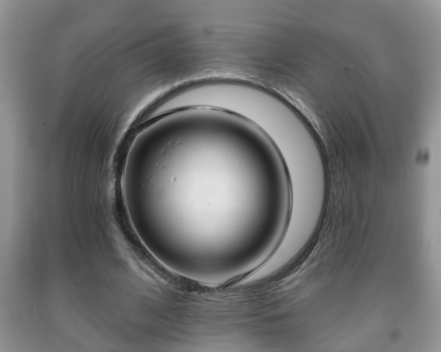 X0000091970584200709131340