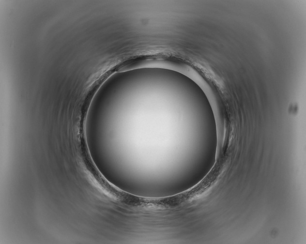 X0000091970585200709131340