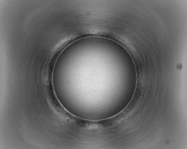 X0000091970587200709131340