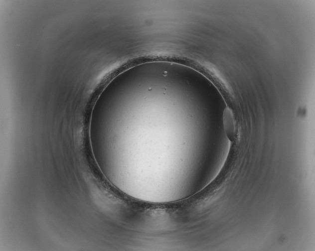 X0000091970588200709131340