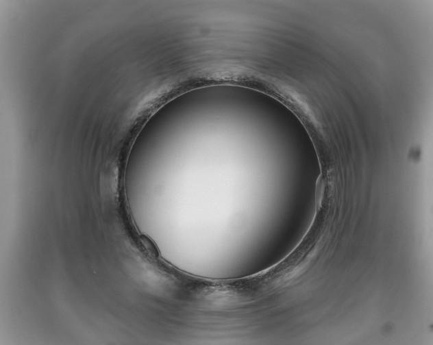 X0000091970589200709131340