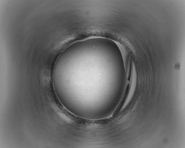 X0000091970593200709131340