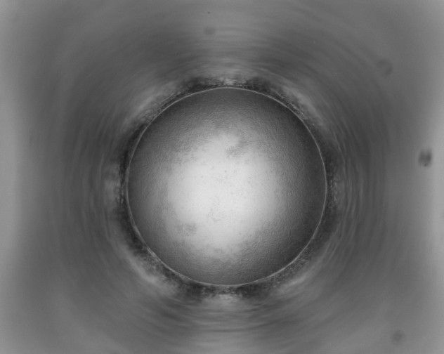 X0000091970594200709131340