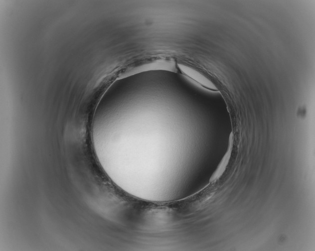 X0000091970595200709131340