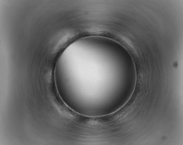 X0000091970596200709131340