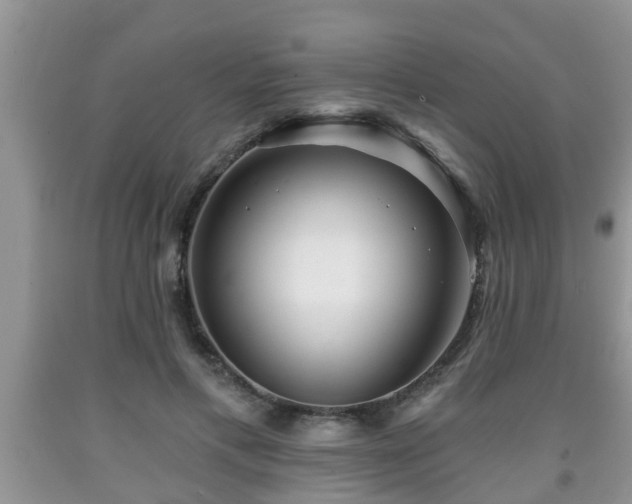 X0000091970597200709131340