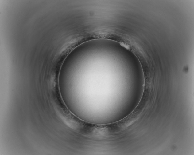 X0000091970599200709131340