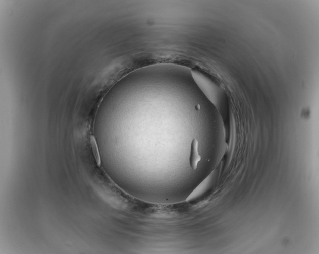 X0000091970601200709131340