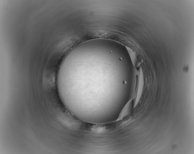 X0000091970602200709131340