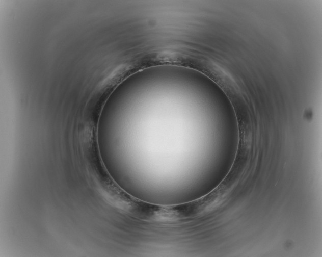 X0000091970603200709131340